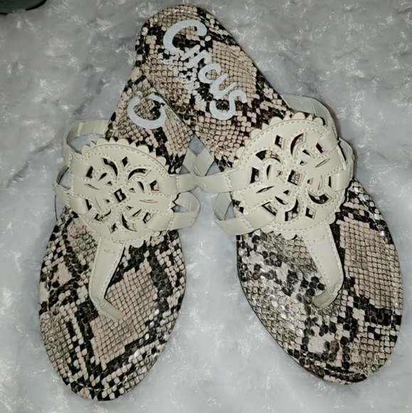Circus by sam edelman medallion sandals - Picture 3 of 4